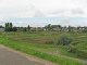 2009 - 0895w.jpg