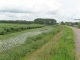2009 - 0891w.jpg