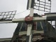 2009 - 0863w.jpg
